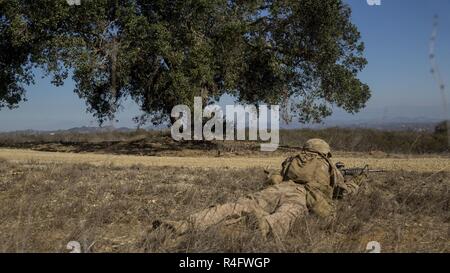 Pfc. Elmer Perez, a scout rifleman with 1st Light Armored Reconnaissance Battalion, 1st Marine Division, takes up a firing position during a field exercise aboard Marine Corps Base Camp Pendleton, Calif., Oct. 25, 2016.  The exercise was held as part of a week-long Marine Corps Combat Readiness Evaluation. Marines undergo MCCREs to ensure combat readiness before deployments. This training allows Marines to become proficient and comfortable with their weapon systems in a realistic environment. Stock Photo