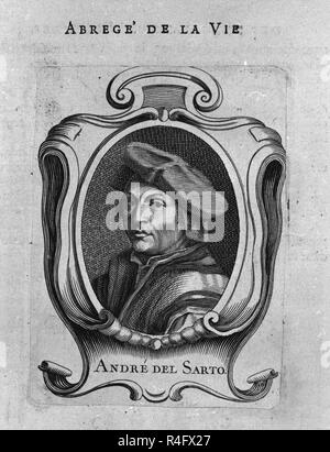 RETRATO DE ANDREA DEL SARTO (1486/1530) - PINTOR DEL RENACIMIENTO ITALIANO. Location: PRIVATE COLLECTION. MADRID. SPAIN. Stock Photo