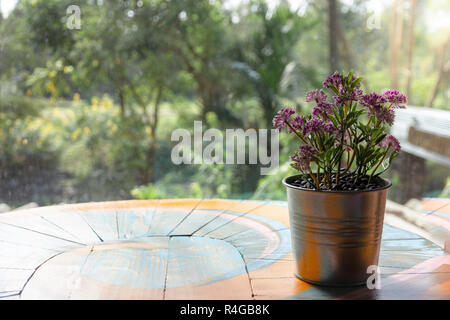 Purple flower in pot with coffee bean on wooden table Stock Photo