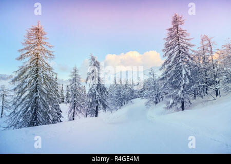 Winter landscape near Vogel ski center Stock Photo