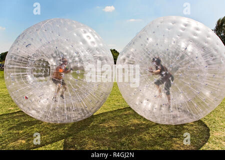 children have a lot of fun in the Zorbing Ball Stock Photo