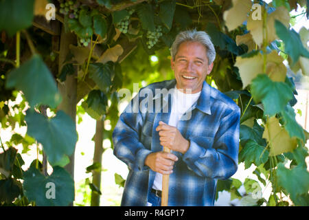Portrait of a smiling mature man leaning on a handle while standing under a grapevine. Stock Photo