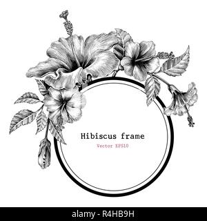 Hibiscus flower frame hand drawing vintage clip art Stock Vector