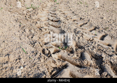 Wheel tracks on the field Stock Photo