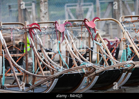 Arctic sled dogs in their kennel, North pole, Svalbard Stock Photo