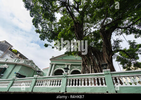 D pedro v hi-res stock photography and images - Alamy