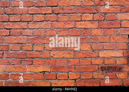 brick wall of old red color shot in summer Stock Photo