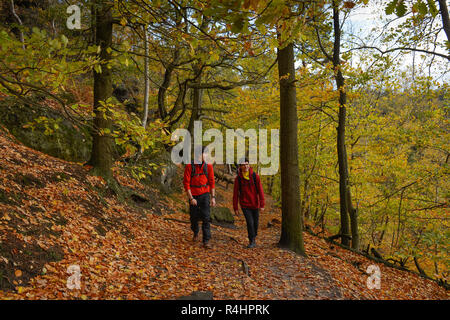 Footpath Elbleitenweg, Schrammsteingebiet, national park Saxon Switzerland, Saxony, Germany, Wanderweg Elbleitenweg, Nationalpark Saechsische Schweiz, Stock Photo