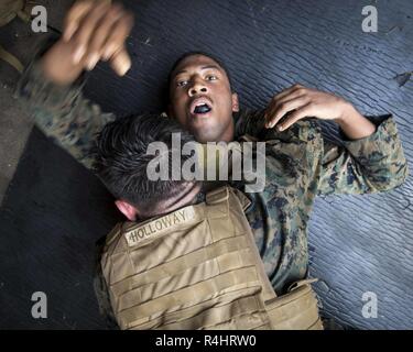 USMC Assault Amphibious Vehicle moves into position aboard MCB Camp ...