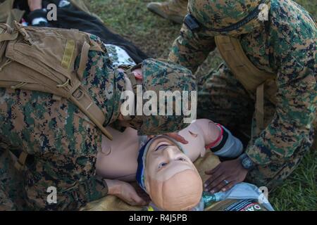 U.S. Navy Hospital Corpsman 3rd Class Victor Paturzo with 2nd Medical Battalion, 2nd Marine Logistics Group, left, and Hospital Corpsman 3rd Class Ryan Sandy right, 2nd Med Bn, 2nd MLG, assess a simulated casualty during an in route care flight on Camp Lejeune, N.C., Oct. 30, 2018. 2nd Med Bn held the training event to allow Sailors to sustain operational readiness and bolster combat readiness. Stock Photo