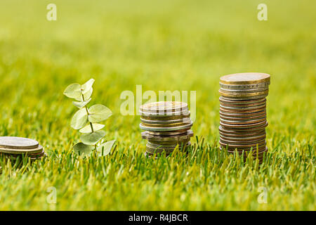 The columns of coins on grass Stock Photo