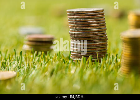 The columns of coins on grass Stock Photo