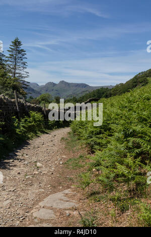 Pathway towards Loughrigg Terrace in the English Lake District, Cumbria, UK, with the Langdale Pikes in the distance. Stock Photo