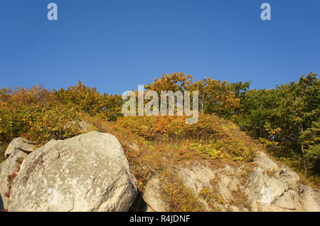 Landscape with mountains covered with plants in autumn. Stock Photo