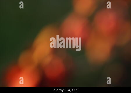 abstract blurred background, different red tone spots on dark green. Stock Photo