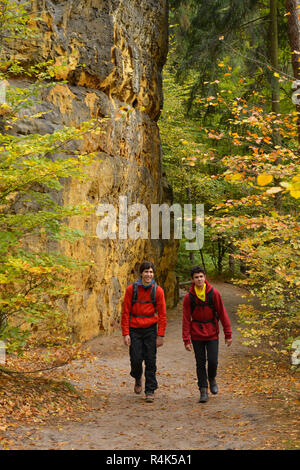 Footpath Elbleitenweg, Schrammsteingebiet, national park Saxon Switzerland, Saxony, Germany, Wanderweg Elbleitenweg, Nationalpark Saechsische Schweiz, Stock Photo