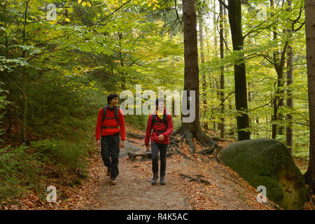 Footpath Elbleitenweg, Schrammsteingebiet, national park Saxon Switzerland, Saxony, Germany, Wanderweg Elbleitenweg, Nationalpark Saechsische Schweiz, Stock Photo