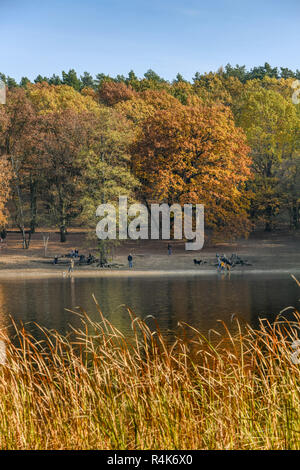 Grunewaldsee, Grunewald, Berlin, Germany, Deutschland Stock Photo