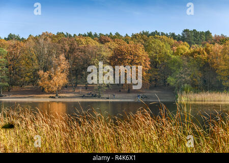 Grunewaldsee, Grunewald, Berlin, Germany, Deutschland Stock Photo