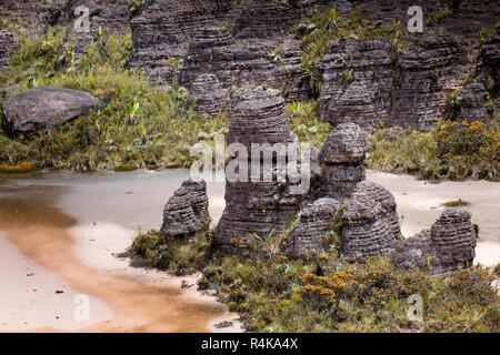 Bizarre ancient rocks of the plateau Roraima tepui - Venezuela, Latin America Stock Photo