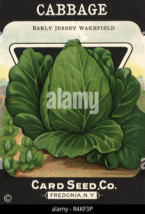 Cabbage Seed Packet Stock Photo - Alamy