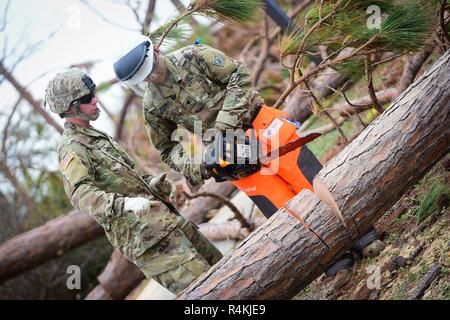 Members of the U.S. Army, 46th “Steel Spike” Engineer Battalion out of ...