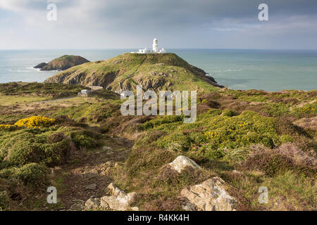 Strumble Head lighthouse on the rocky coast of Pembrokeshire, Wales with Irish Sea / Celtic Sea Stock Photo