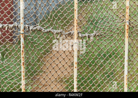 ragged rope net is on the rusty iron fence in countryside Stock Photo