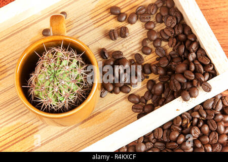 cactus in coffee cup Stock Photo