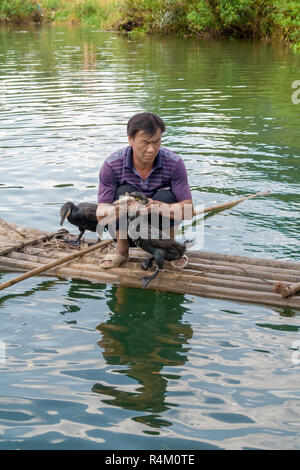 Yangshuo, China - July 14, 2010: Chinese man fishing with cormorants birds in Yangshuo, Guangxi region. China. Cormorant fishing is a traditional way  Stock Photo