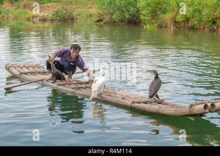 Yangshuo, China - July 14, 2010: Cormorant fisherman and his birds on the Li River in Yangshuo, Guangxi, China. Cormorant fishing is a traditional way Stock Photo