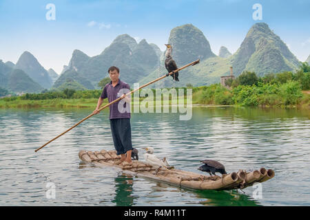 Yangshuo, China - July 14, 2010: Cormorant fisherman and his birds on the Li River in Yangshuo, Guangxi, China. Cormorant fishing is a traditional way Stock Photo