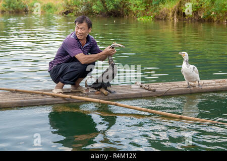 Yangshuo, China - July 14, 2010: Chinese man fishing with cormorants birds in Yangshuo, Guangxi region. China. Cormorant fishing is a traditional way  Stock Photo