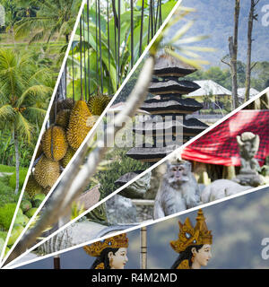 Collage of Bali (Indonesia) images - travel background (my photos) Stock Photo