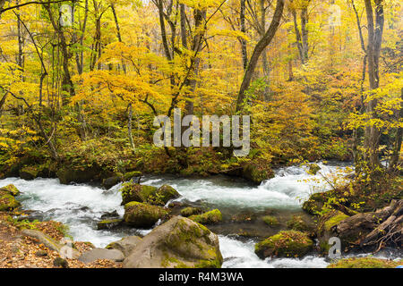 Oirase Mountain Stream in autumn season Stock Photo