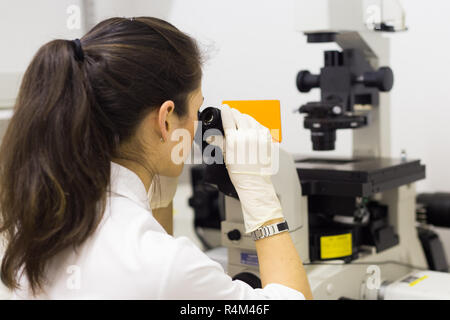 Life science researcher microscoping in genetic scientific laboratory. Stock Photo