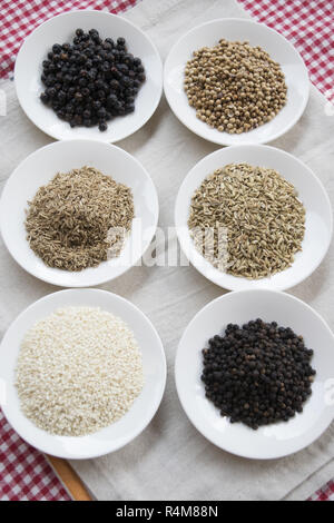 variety of spices on white saucers Stock Photo