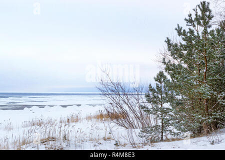 Winter day on snowy shore of Narva Bay. Snow on ice of frozen Finnish gulf. Narva-Joesuu resort town in Estonia Ida-Virumaa. Severe Northern winter and snowy weather. Pine forest, pinewood Stock Photo