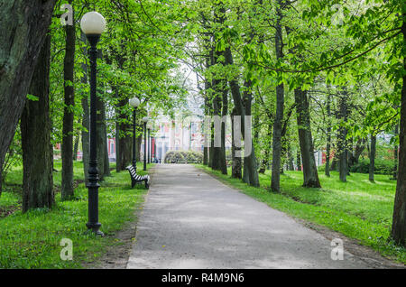 Picturesque alley in spring time Kadriorg park, Tallinn, Estonia Stock Photo