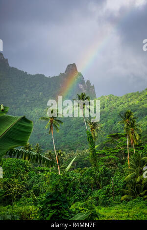 Rainbow on Moorea island jungle and mountains landscape Stock Photo