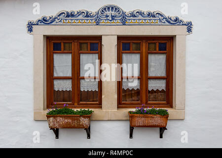 Two Beautiful Windows With a Rectangular Plants Vase Underneath Stock Photo