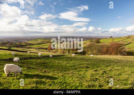 Wonderful view from Tegg's Nose Country Park, Macclesfield, Cheshire, England, UK Stock Photo