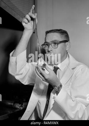 A technician work at an American Cancer Society Research Center at UCLA in Southern California, ca. 1959. Stock Photo