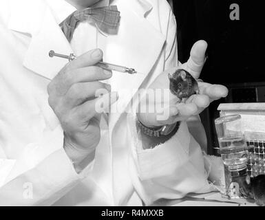 A technician work at an American Cancer Society Research Center at UCLA in Southern California, ca. 1959. Stock Photo