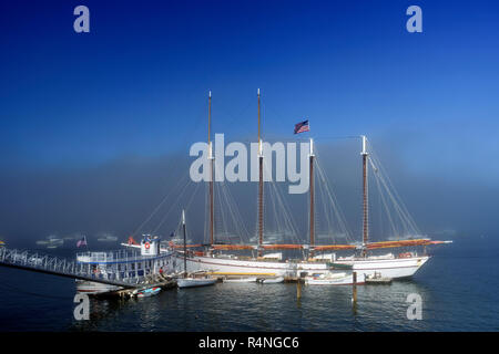 Four masted schooner 'Margaret Todd', anchored in Frenchman Bay, Bar Harbor, Maine, USA. Stock Photo