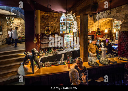 Poodle bar of Hotel Renthof, Kassel, Germany. The center of attraction in the evening: the Pudelbar. At least as noteworthy as the poodle is the bar's cladding. It is made of the rusted sheet metal of an old barn, which Rainer Holzhauer discovered on a horseback ride Stock Photo