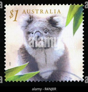 AUSTRALIA - CIRCA 1999: A used postage stamp from Australia, depicting an image of a Koala, circa 1999. Stock Photo