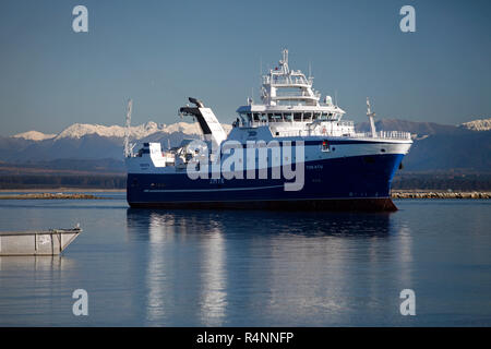 Sealord's new fishing vessel Tokatu arriving at home port, Nelson Stock Photo