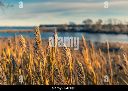 Sunset by the river Stock Photo