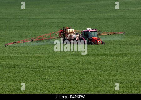 Tractor spraying pesticides on big green field with young grain Stock Photo